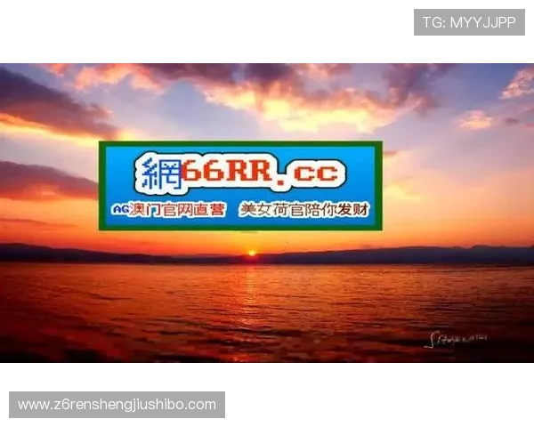 用户如何在凯时尊龙app官网登录入口网址中找到最佳玩法